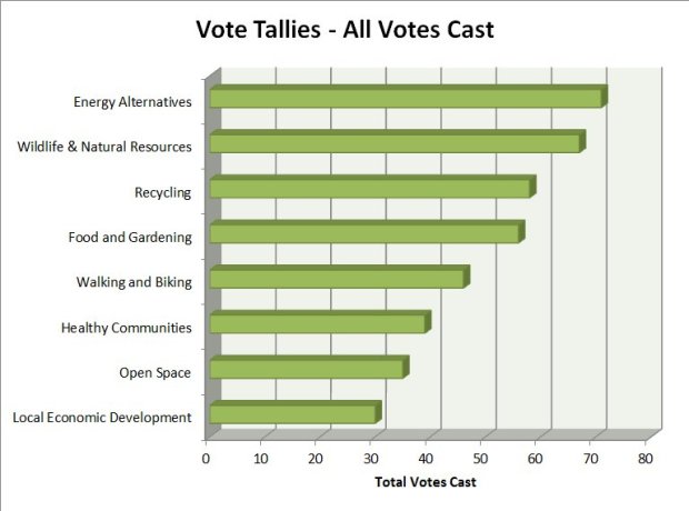 all votes cast survey