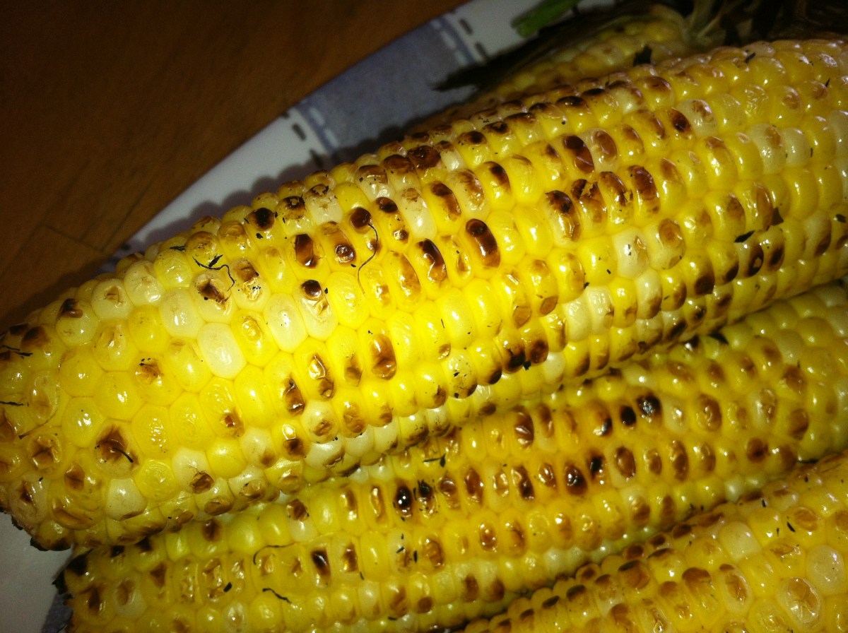 Sweet Jersey Corn Sustainable Ewing Green Team