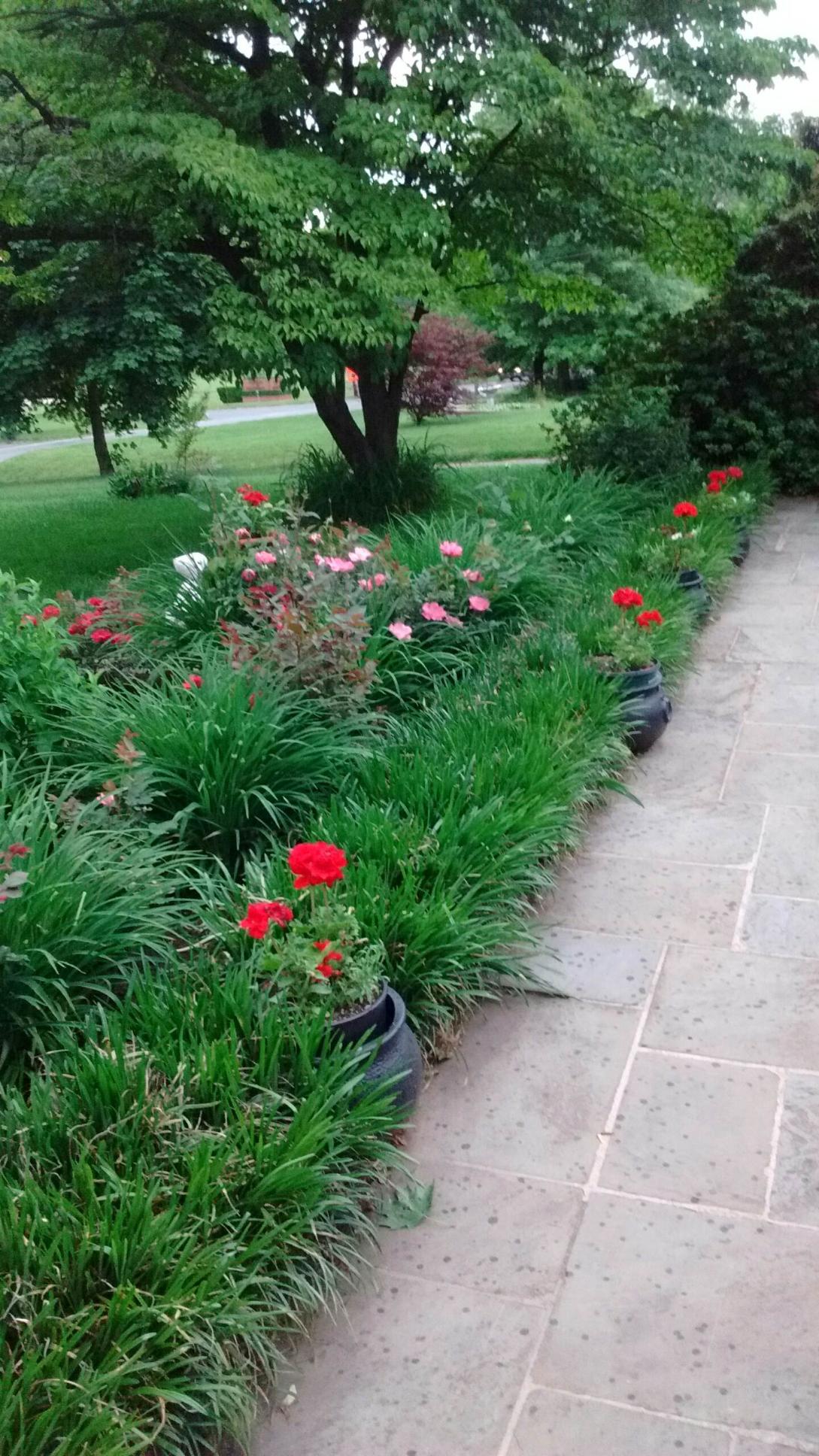 Grace Fairbanks' Gardens — Fairbanks History, image size:1089x1936