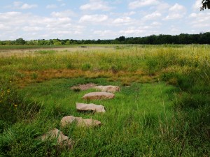 vernal-pool_aug2015jsw
