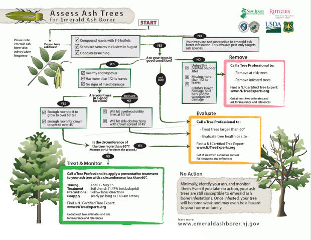 EAB Action Chart