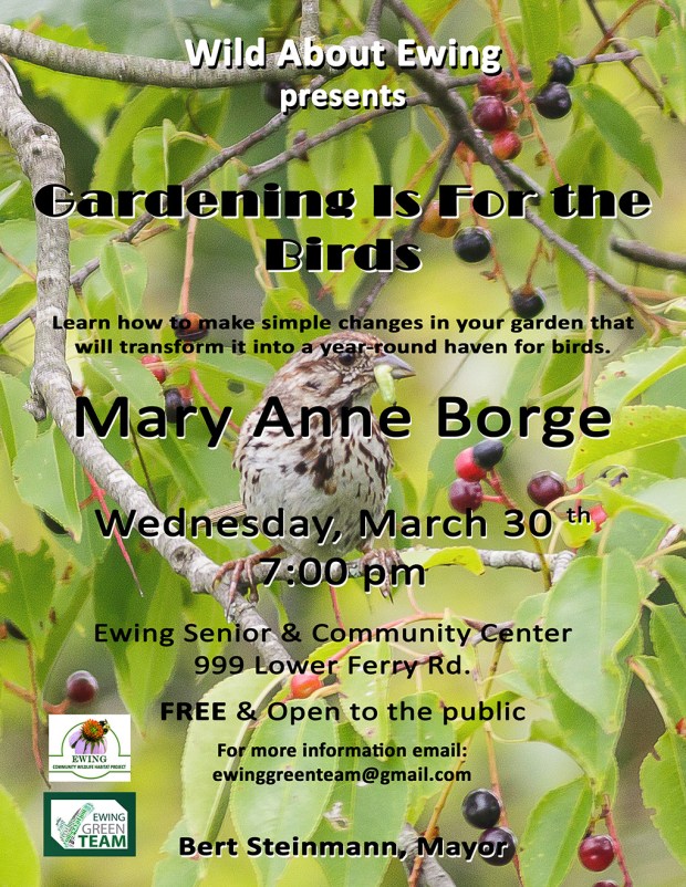 Gardening is for the Birds