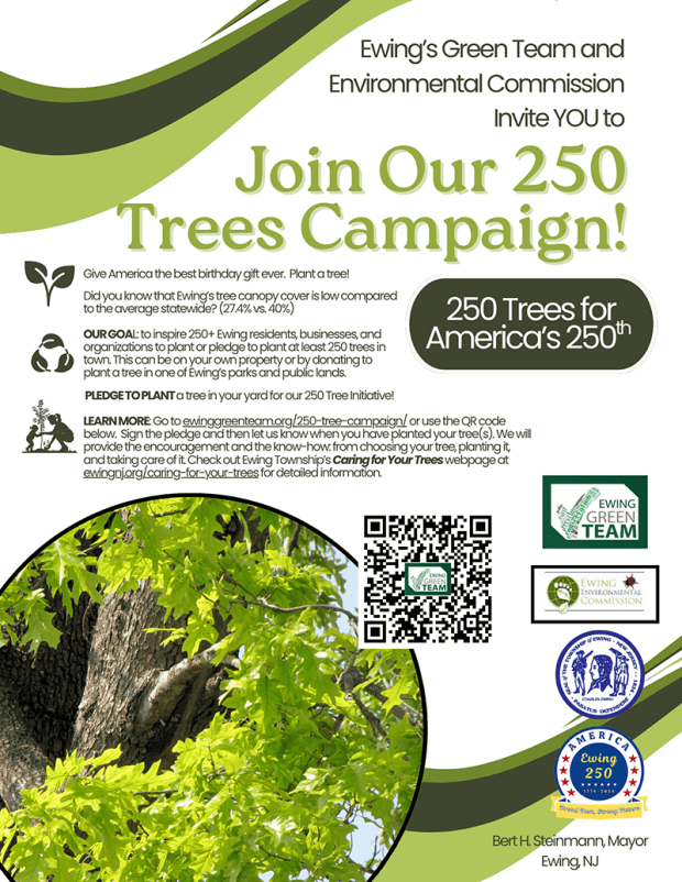 250 Trees for America's 250th!