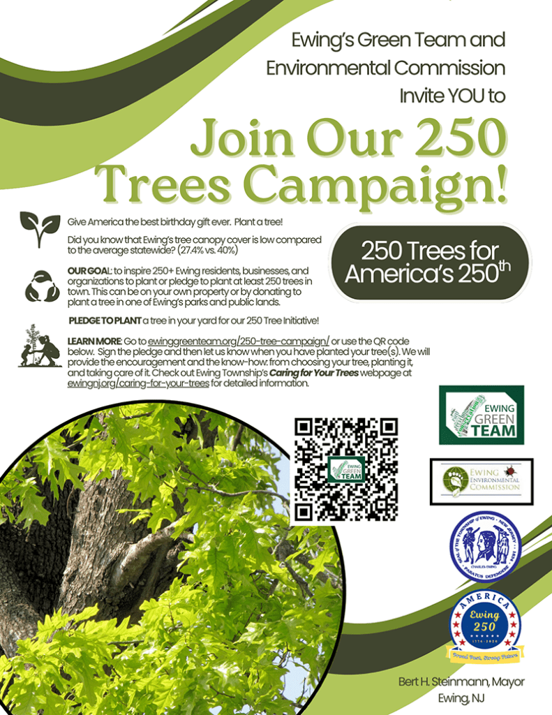 250 Trees Campaign