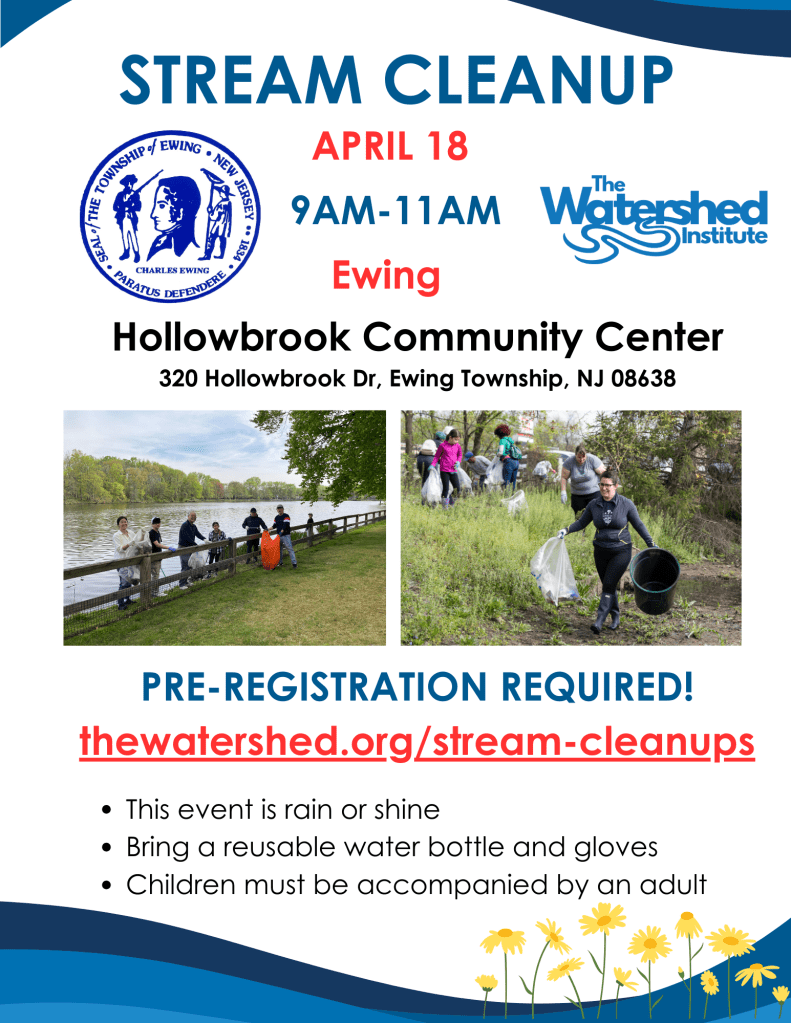 Stream Cleanup Flyer